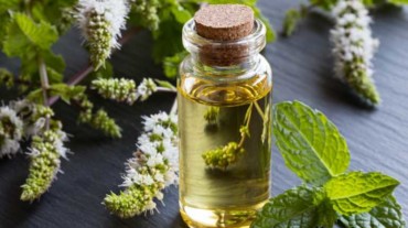 natural pain relief ingredients natural pain relief ingredients