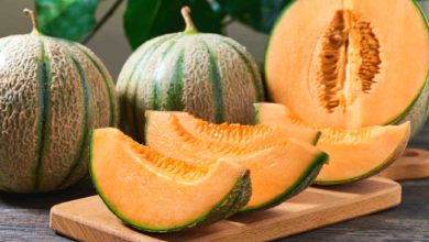 1686755984 Muskmelon with milk may be a bad food combination