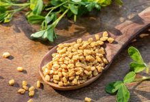 1686759686 Fenugreek benefits From diabetes to acne know why you must