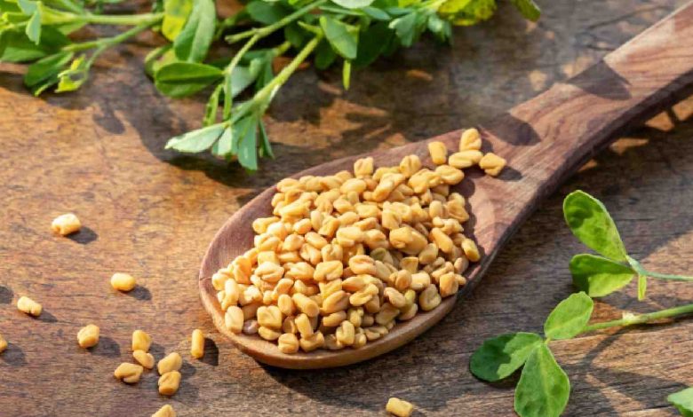 Fenugreek benefits: From diabetes to acne, know why you must use methi seeds 1 1686759686 Fenugreek benefits From diabetes to acne know why you must