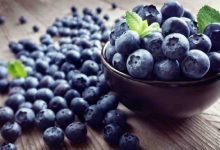 1686763460 7 benefits of blueberries for brain health