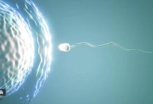 sperm health