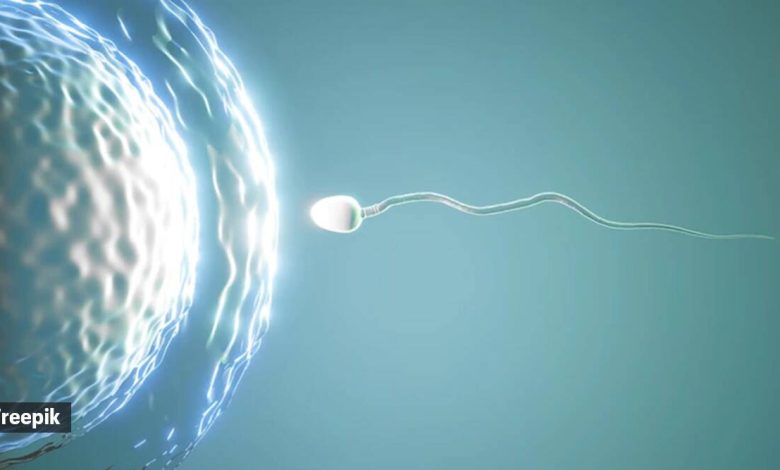 Males, comply with these easy suggestions to enhance sperm high quality 1 sperm health