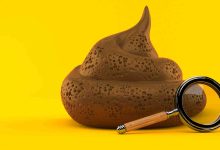 1686894378 Poop Scoop 9 common poop questions youre too shy to