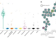 1686946170 Research hints at how fungus farming ants keep their gardens