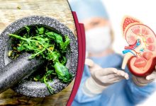 Ayurveda tips to keep your kidneys healthy amp strengthen renal