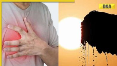 Does severe heatwave lead to heart attack Know tips to
