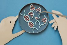 Genetic Marker for Rapid MS Disease Progression Identified