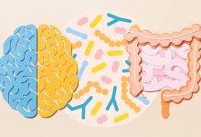 Gut Bacteria May Reveal Alzheimers Before Symptoms Appear