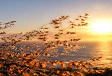 How to Beat the Heat Follow Tips by Health Ministry