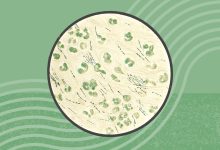 Rare but Deadly Melioidosis Is a New Infectious Disease Threat