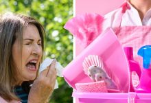Reduce hay fever risk with these expert tips to clean