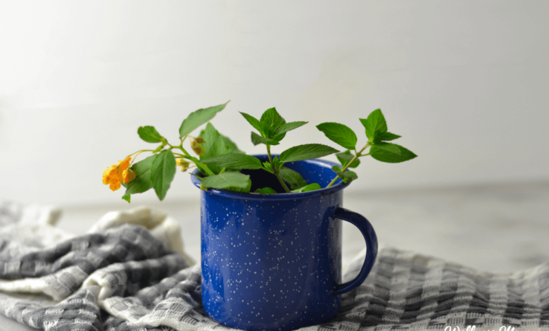 Simple Home Remedies Every Family Should Have 1 home remedies