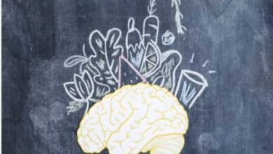 Understanding the gut-brain connection (Freepik)