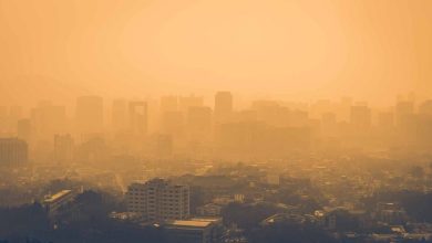Tips to assist keep wholesome when the air high quality is poor – ValpoLife 3 Tips to help stay healthy when the air quality is poor