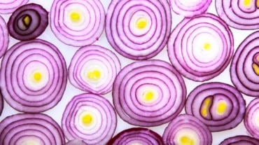 vagina smelling like onion vagina smelling like onion