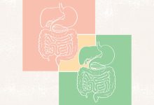 What Is the Difference Between IBS and IBD