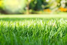 With warm weather coming heres a two step tip for a