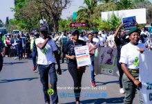 best practices from the WHO Special Initiative for Mental Health