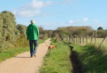 boost quality of life during prostate cancer treatment 1440x810