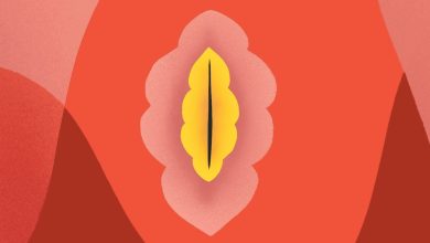 vagina vulva 1200x628 facebook 1200x628