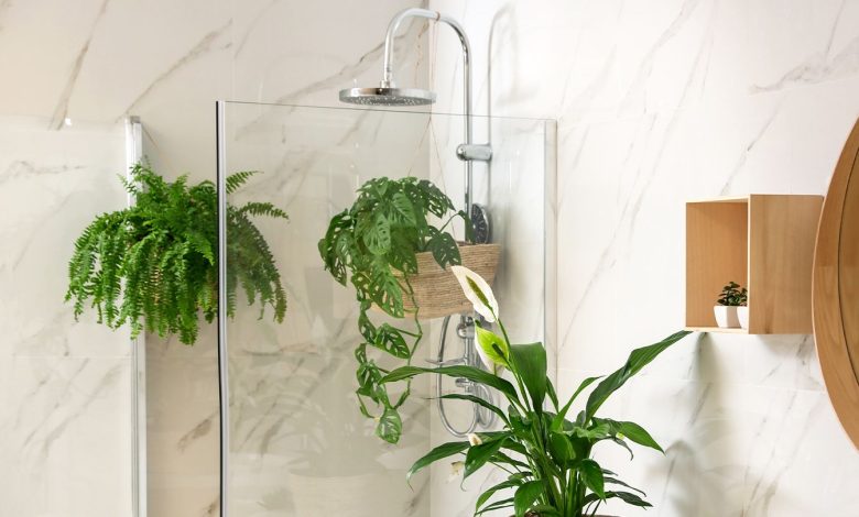 6 Wellness-Boosting Gadgets to Take within the Bathe 1 6 Wellness Boosting Items to Take in the Shower