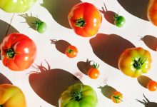 Nutrition Benefits Side Effects and More