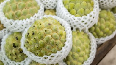 1693381536 Custard apple recipes 3 sitaphal recipes to try