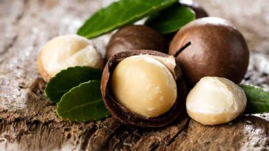 5 healthy nuts we dont eat as often as almonds