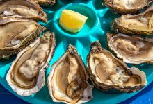 Deadly Flesh Eating Bacteria Vibrio vulnificus Found in New York and