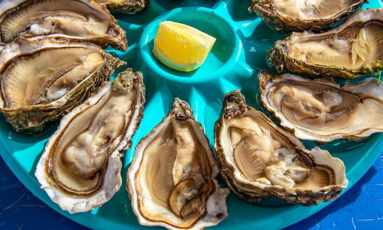 Lethal Flesh-Consuming Micro organism Vibrio vulnificus Present in New York and Connecticut 1 Deadly Flesh Eating Bacteria Vibrio vulnificus Found in New York and