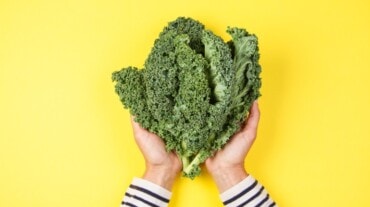 health benefits of kale health benefits of kale