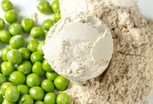 Best Vegan Protein Powders for Muscle Growth and Digestion