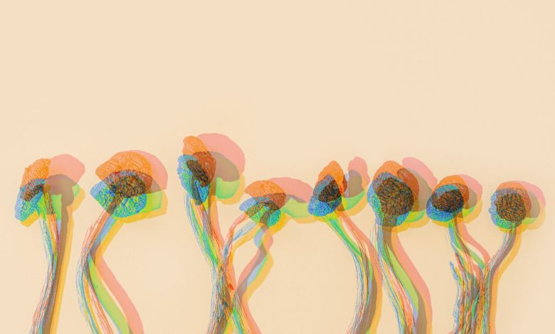 Extra Proof That Psilocybin Can Deal with Main Depressive Dysfunction 1 More Evidence That Psilocybin Can Treat Major Depressive Disorder