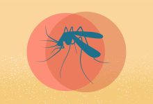 Study Links MS Drug Class to High Risk of Severe