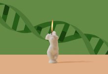 What Is Biological Age Everyday Health