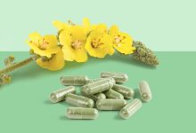 What Is Mullein Leaf Health Benefits Risks More