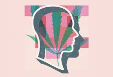 Marijuana Use and Schizophrenia Risk