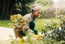 Short Daily Exercise Cuts Death Risk From Prolonged Sitting