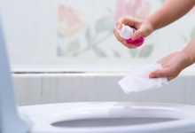 Toilet seat sanitizer spray 5 top picks to reduce risk
