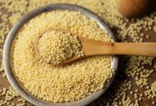 1699954815 Amaranth Benefits Nutrition and How to use it