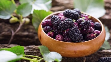 berries berries