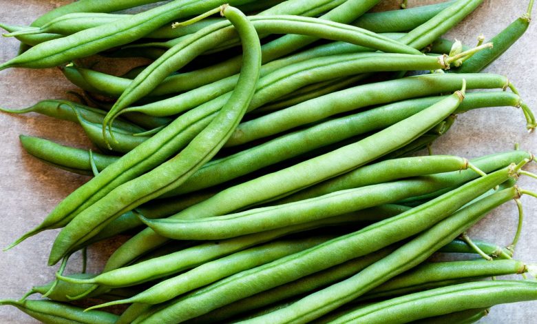 Bone Health, Immune Help, and Extra 1 Bone Health Immune Support and More
