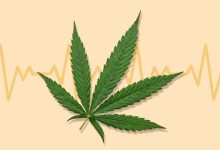 Marijuana Use May Raise the Risk of Serious Heart Conditions