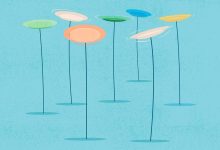 Which Is Best for You