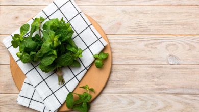 1702193758 7 spices for bloating and promoting better digestion