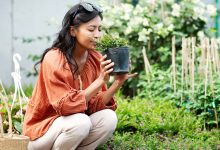 1702873545 10 ways to connect with nature for mental health