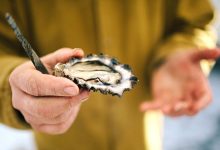 Best Foods With Zinc to Strengthen Your Immune System