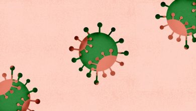 COVID 19 Variant JN1 Drives New Wave of Illness