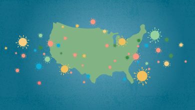 Flu Circumstances Climbing as Winter Season Begins 4 Flu Cases Climbing as Winter Season Begins